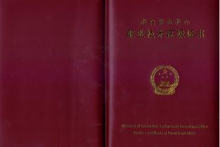 西安文化藝術(shù)交流與策劃 連接慶典服務(wù)與企業(yè)管理的橋梁
